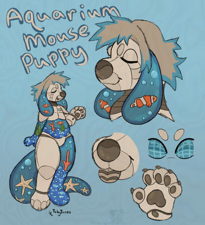$15 TobyTunes Ref Base